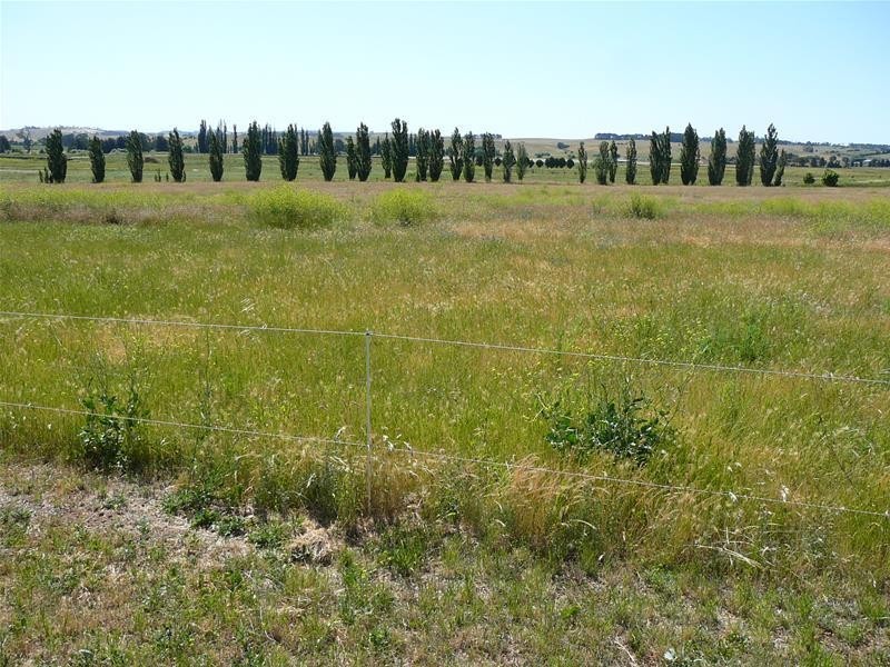 3263 O’Connell Road, Oberon NSW 2787