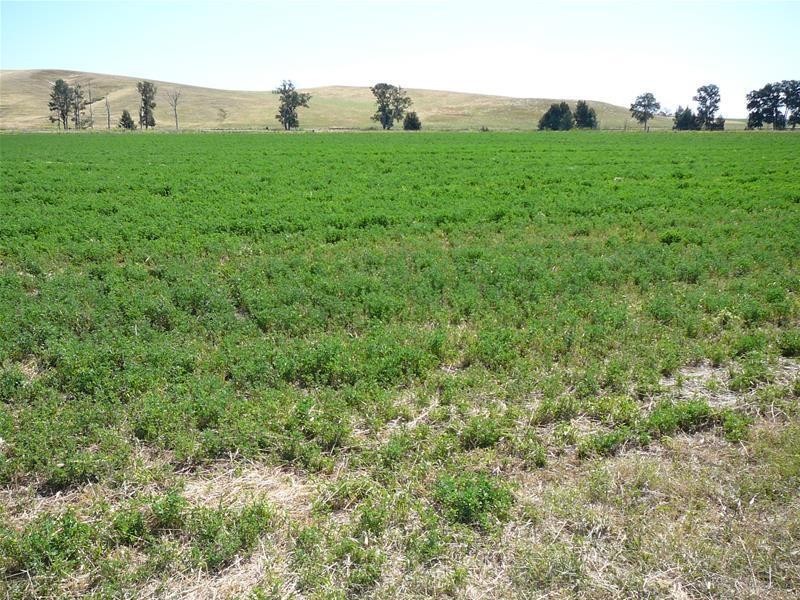 3263 O’Connell Road, Oberon NSW 2787