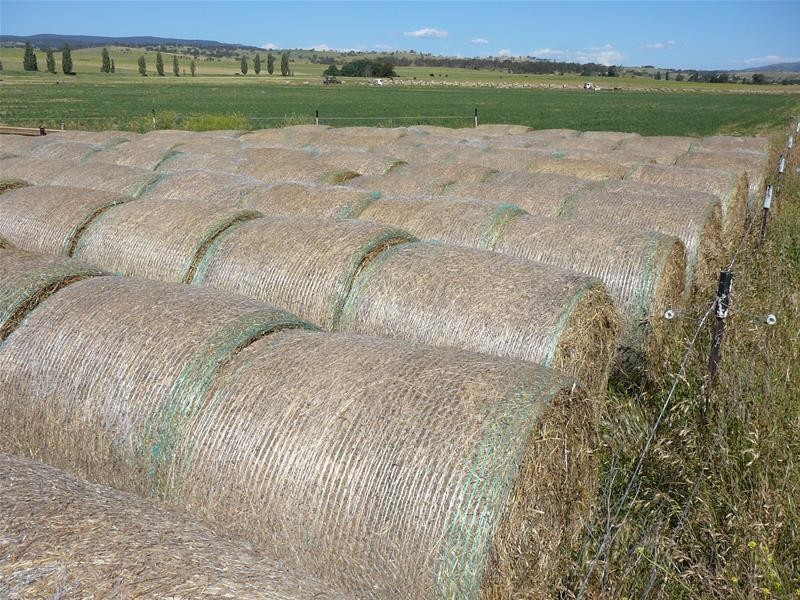 3263 O’Connell Road, Oberon NSW 2787