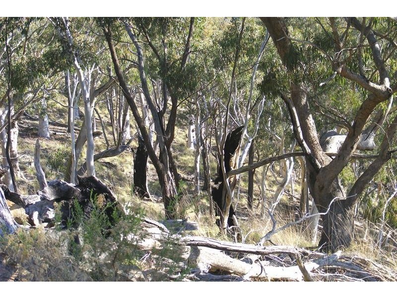 3117 Arkstone Road, Oberon NSW 2787