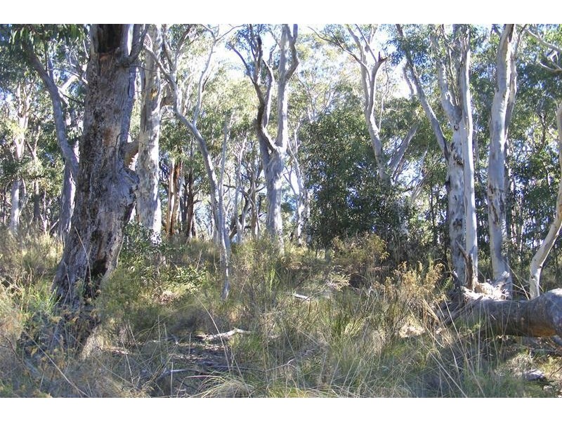 3117 Arkstone Road, Oberon NSW 2787