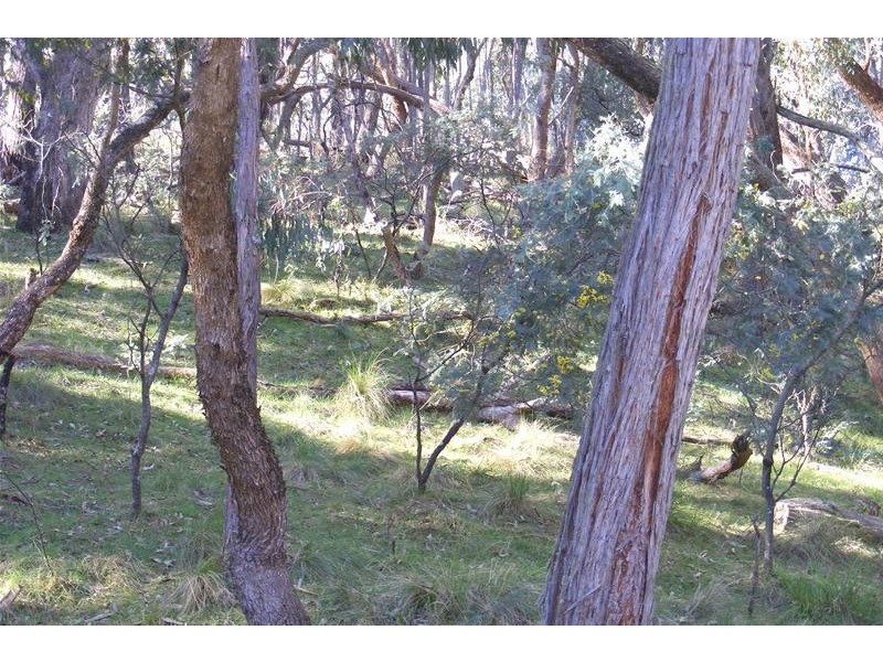 3117 Arkstone Road, Oberon NSW 2787