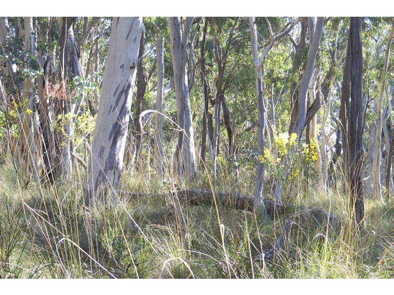 3117 Arkstone Road, Oberon NSW 2787