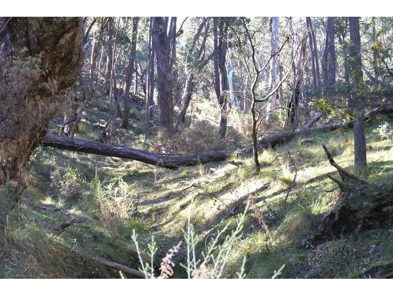 3117 Arkstone Road, Oberon NSW 2787