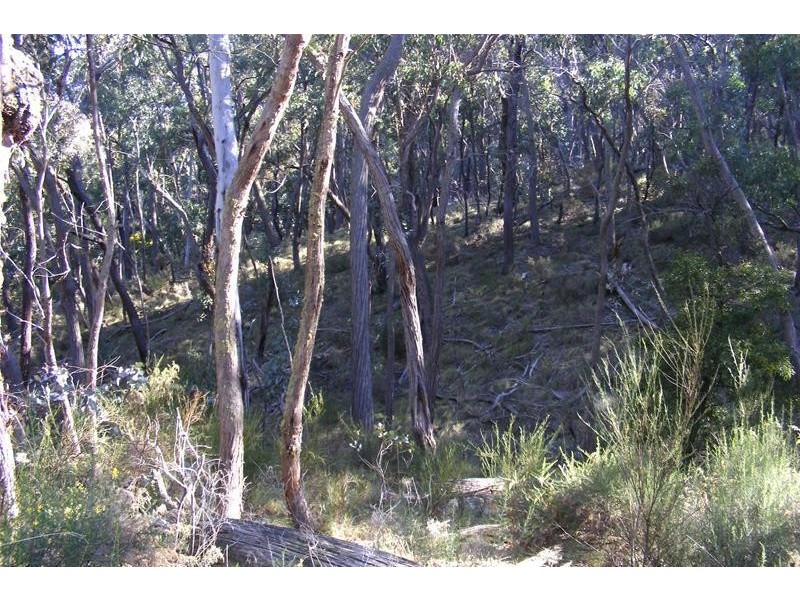 3117 Arkstone Road, Oberon NSW 2787