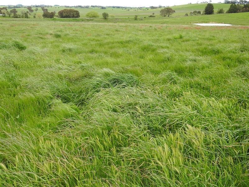 3902 Mitchell Highway, Orange NSW 2800