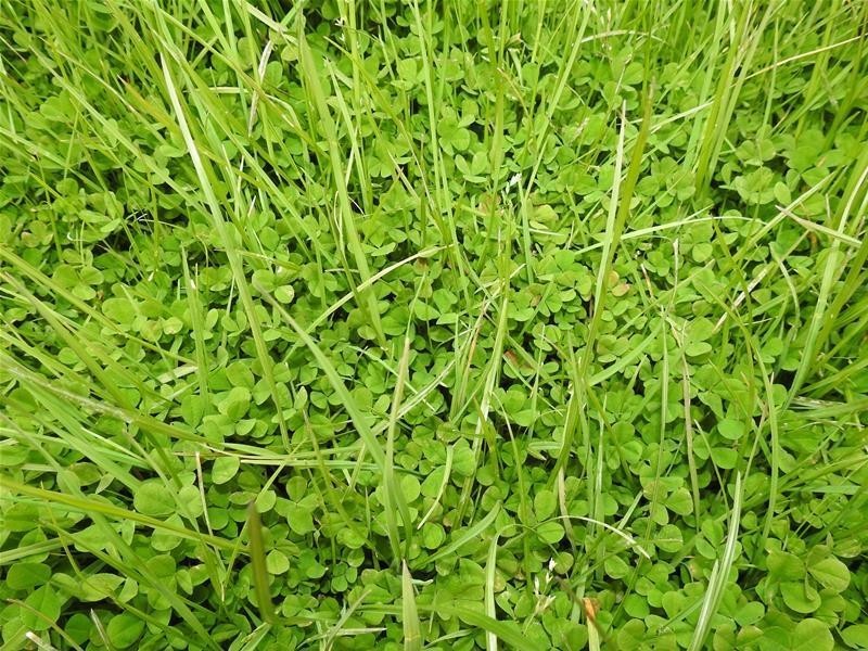 3902 Mitchell Highway, Orange NSW 2800