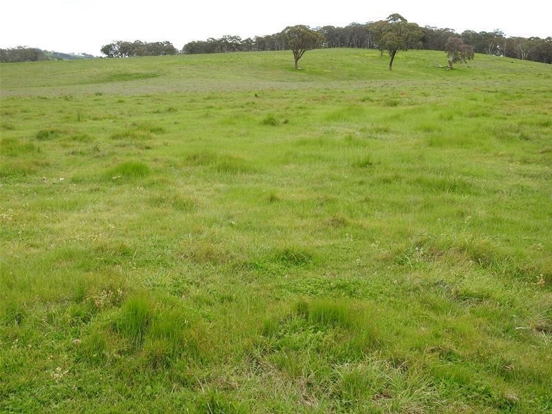 3902 Mitchell Highway, Orange NSW 2800