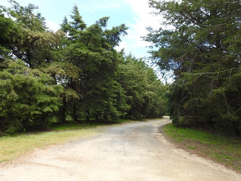 3902 Mitchell Highway, Orange NSW 2800