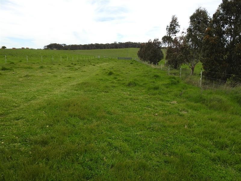 3902 Mitchell Highway, Orange NSW 2800