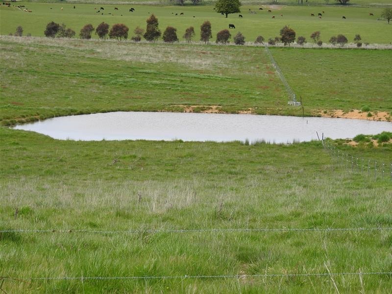 3902 Mitchell Highway, Orange NSW 2800