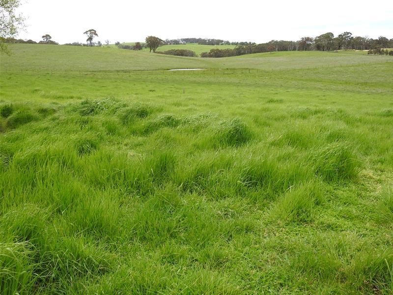 3902 Mitchell Highway, Orange NSW 2800