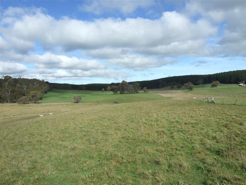 1919 Abercrombie Road, Black Springs NSW 2787