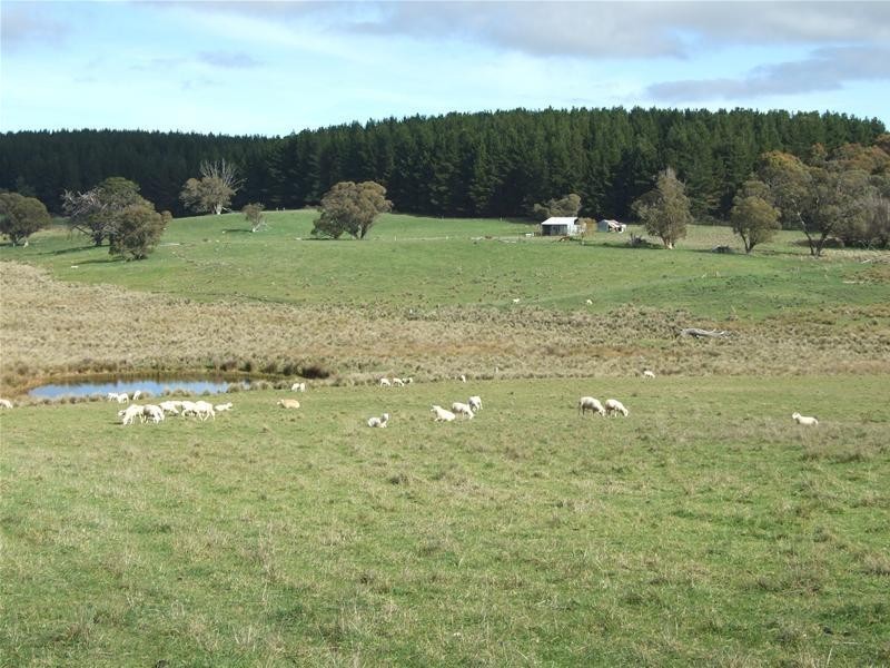 1919 Abercrombie Road, Black Springs NSW 2787