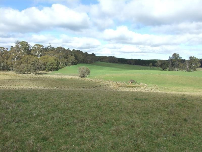 1919 Abercrombie Road, Black Springs NSW 2787