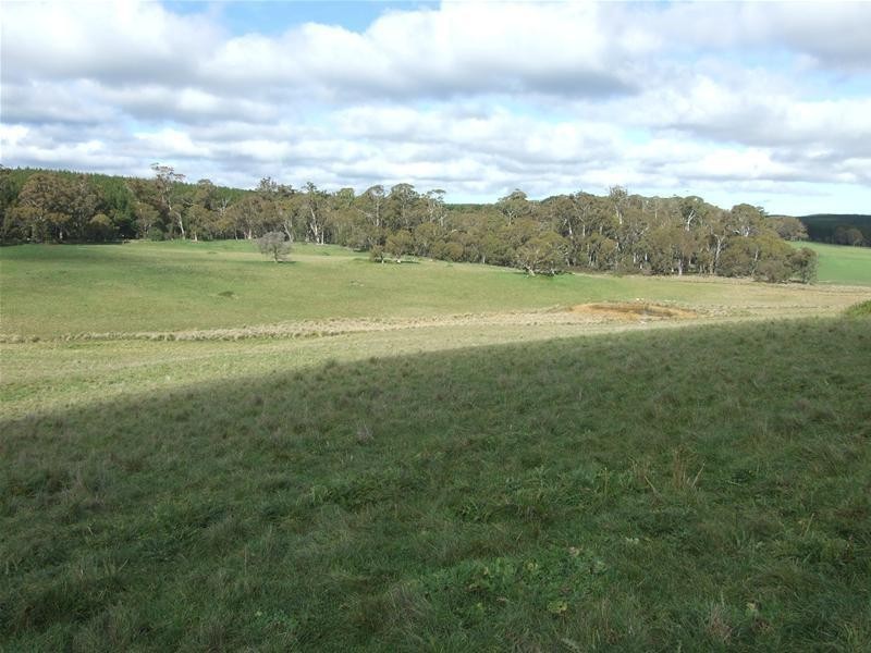 1919 Abercrombie Road, Black Springs NSW 2787