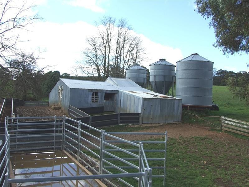 1919 Abercrombie Road, Black Springs NSW 2787