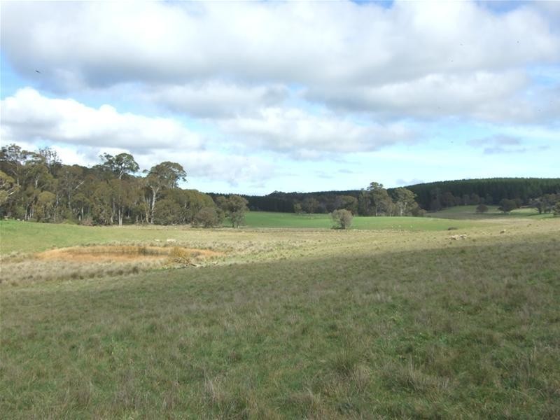 1919 Abercrombie Road, Black Springs NSW 2787