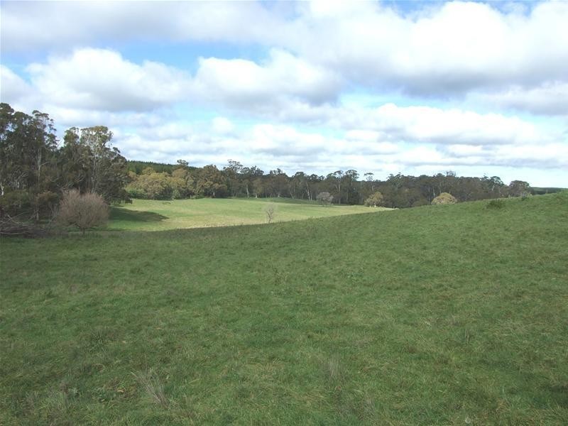 1919 Abercrombie Road, Black Springs NSW 2787