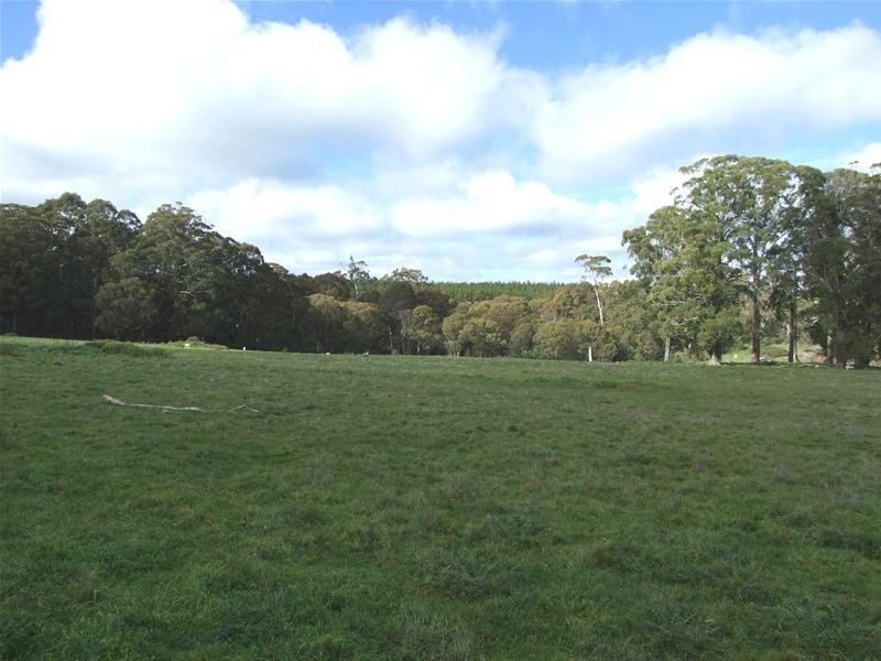 1919 Abercrombie Road, Black Springs NSW 2787