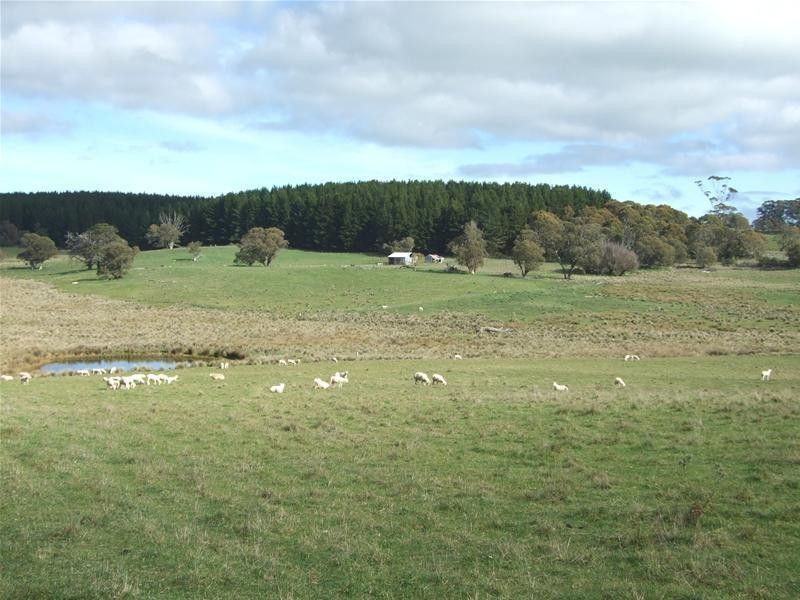 1919 Abercrombie Road, Black Springs NSW 2787