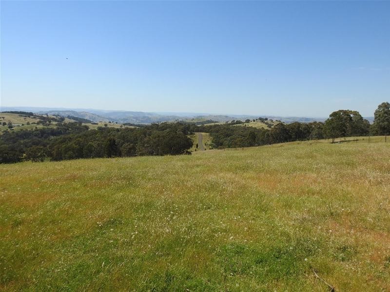 1115 Bundalah Road, Euchareena NSW 2866