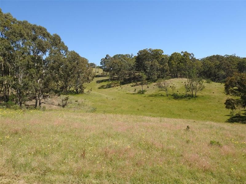 1115 Bundalah Road, Euchareena NSW 2866