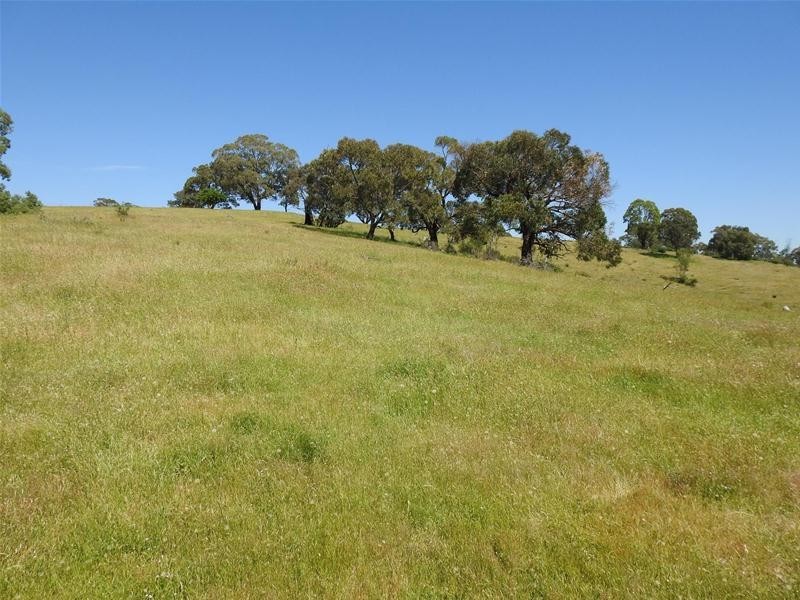 1115 Bundalah Road, Euchareena NSW 2866