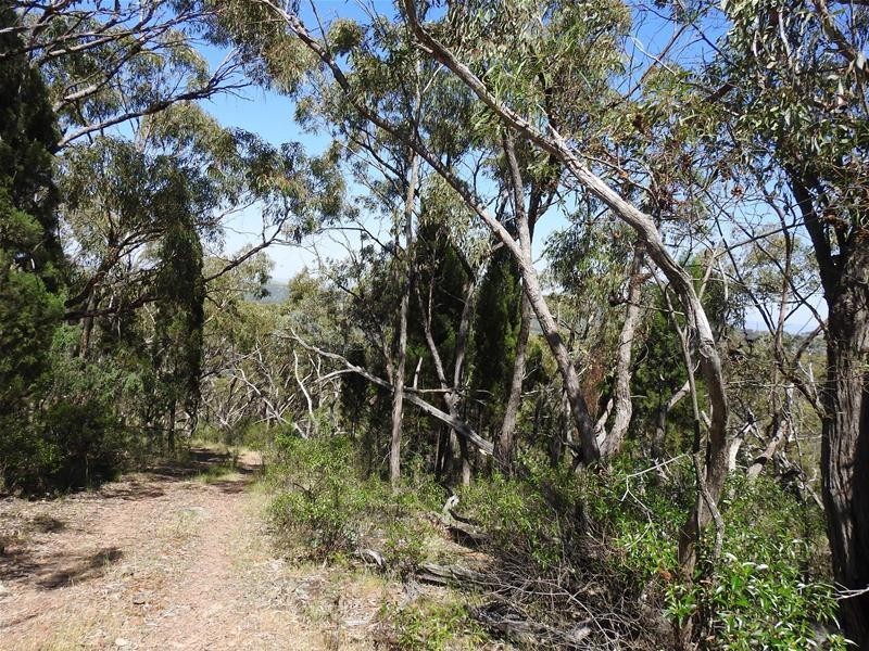 1115 Bundalah Road, Euchareena NSW 2866