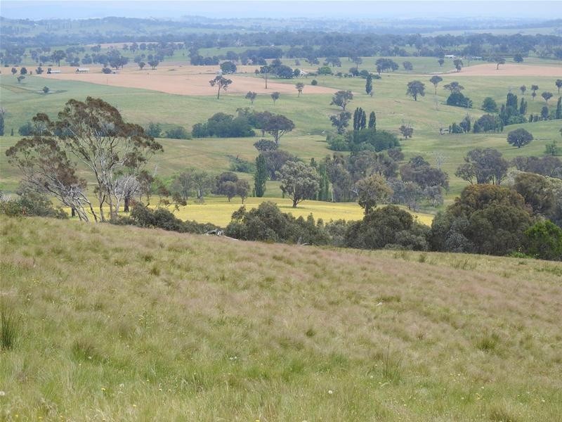 510 Hilltop Lane, Garland NSW 2797