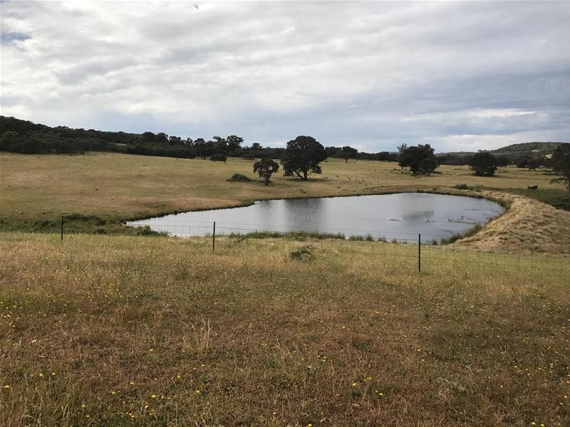 510 Hilltop Lane, Garland NSW 2797