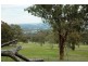 1734 O’Connell Road, O’connell NSW 2795