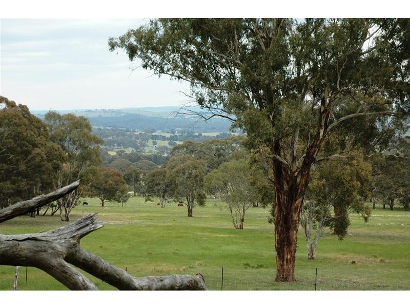 1734 O’Connell Road, O’connell NSW 2795