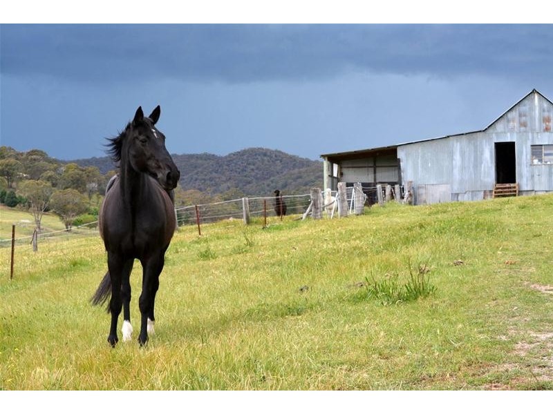 1734 O’Connell Road, O’connell NSW 2795