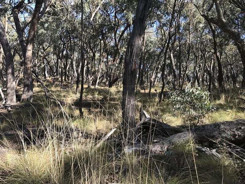 Lot 159/144 Redbank Road, Triangle Flat NSW 2795