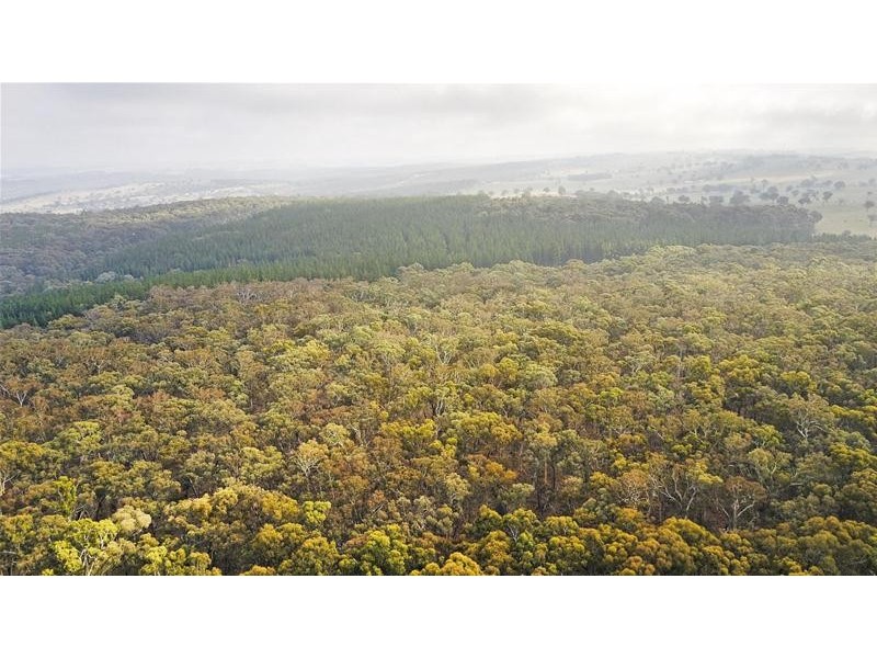 Lot 159/144 Redbank Road, Triangle Flat NSW 2795