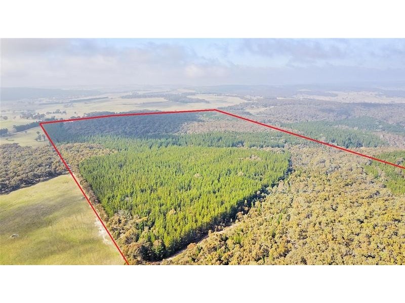 Lot 159/144 Redbank Road, Triangle Flat NSW 2795