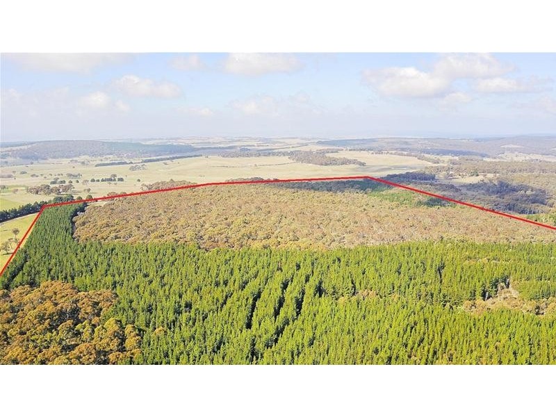 Lot 159/144 Redbank Road, Triangle Flat NSW 2795