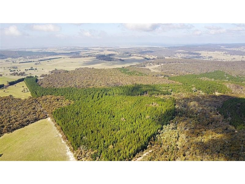 Lot 159/144 Redbank Road, Triangle Flat NSW 2795