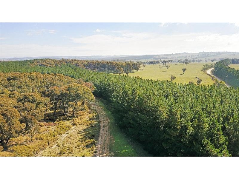 Lot 159/144 Redbank Road, Triangle Flat NSW 2795