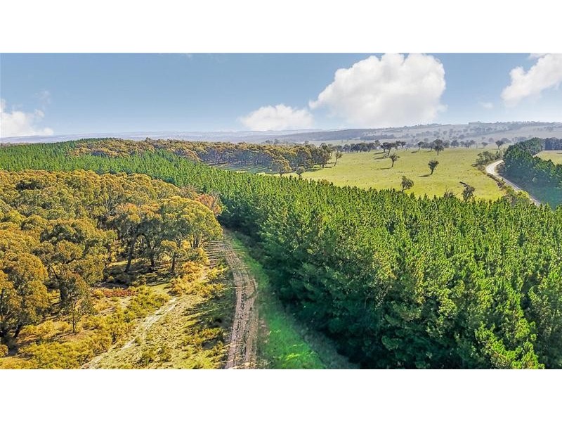 Lot 159/144 Redbank Road, Triangle Flat NSW 2795