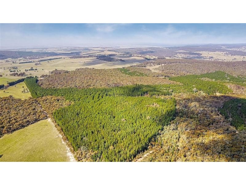 Lot 159/144 Redbank Road, Triangle Flat NSW 2795