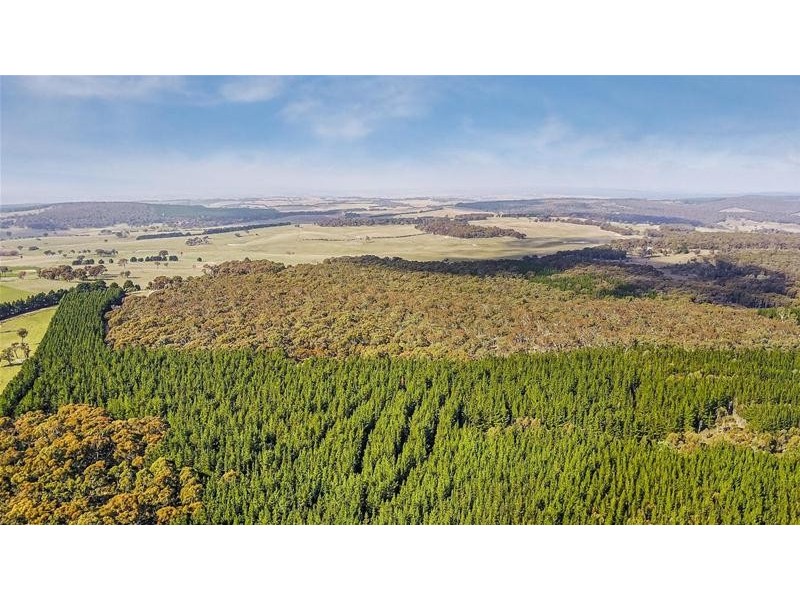 Lot 159/144 Redbank Road, Triangle Flat NSW 2795