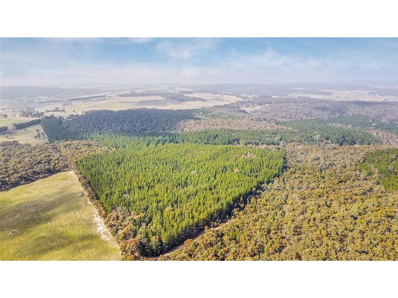 Lot 159/144 Redbank Road, Triangle Flat NSW 2795