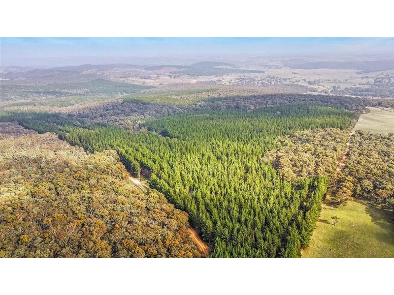 Lot 159/144 Redbank Road, Triangle Flat NSW 2795