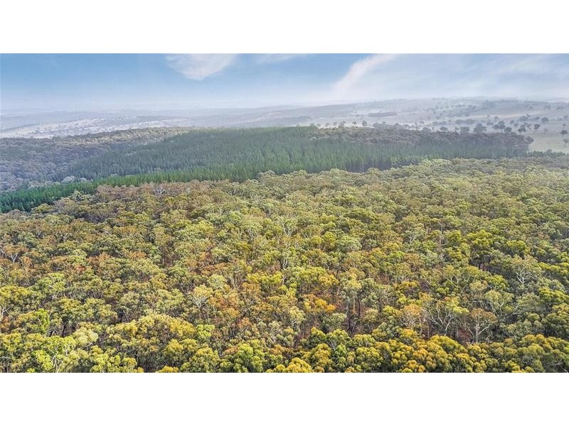 Lot 159/144 Redbank Road, Triangle Flat NSW 2795