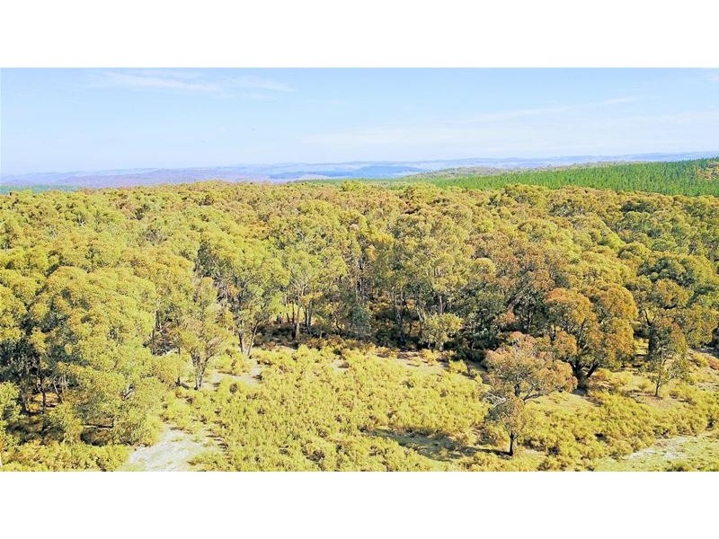 Lot 159/144 Redbank Road, Triangle Flat NSW 2795