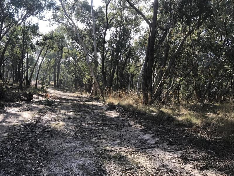 Lot 159/144 Redbank Road, Triangle Flat NSW 2795