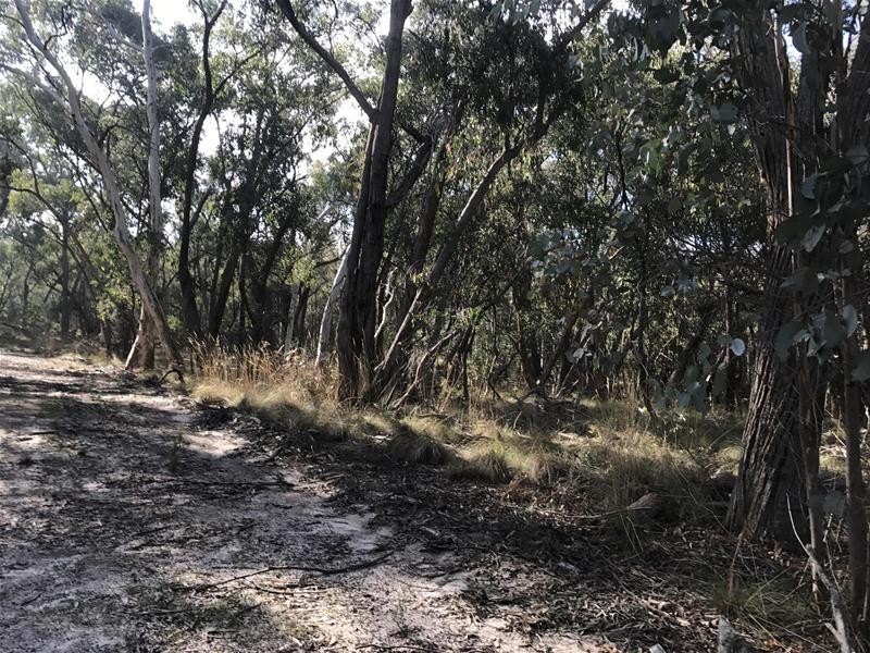 Lot 159/144 Redbank Road, Triangle Flat NSW 2795