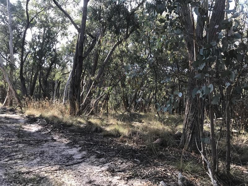 Lot 159/144 Redbank Road, Triangle Flat NSW 2795